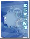 网约车司机之AI死亡阴影封面