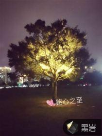 撩到女神后我跑了gl封面