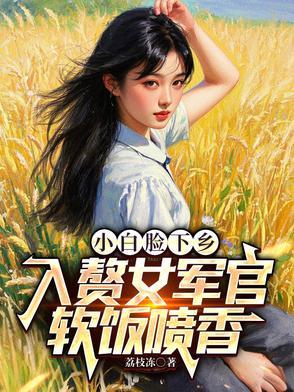是梦何方封面